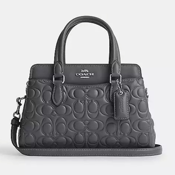 New! Mini Darcie Carryall in Signature Leather *One Left!* - Picture 1 of 6